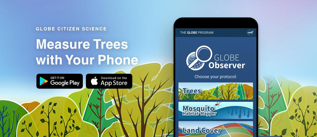 Measure Trees with your Phone