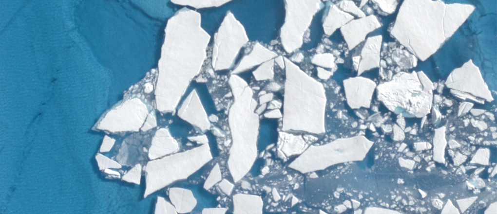 icebergs in pond